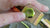 Big Orange Swivel J Ratchet Wheel Strap, HD Ratchet