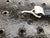 Ratchet Wheel Strap for Small Hole Decks - Low Pro Sleeve Version