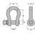 1/2" Peer Lift Alloy Screw Pin Shackle
