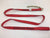 2" x 14' Red TECNIC Webbing Strap with 12" Chain Tail