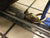 Adjustable Basket- Ratchet Wheel Strap- Diamond Weave: BULLRING E-Track (Ruslan version)
