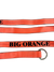 Big Orange D-Ring Lasso Strap 10 ft