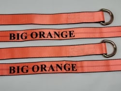 Big Orange D-Ring Lasso Strap 10 ft