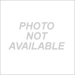 Heavy Truck Tire Chain tensioning chain w/ springs (pair)