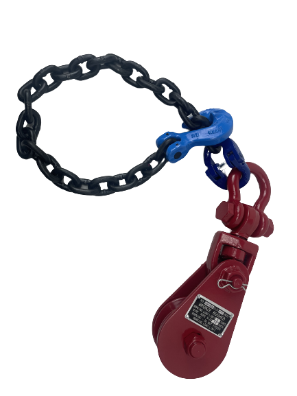 large_555056_IMG-2573-removebg-preview.png